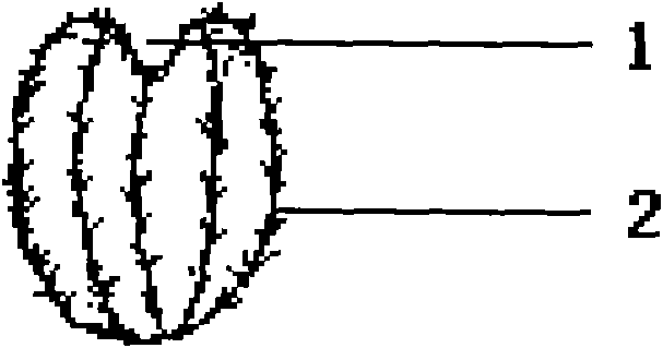 Grafting and modeling method for potted ornamental plants