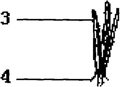 Grafting and modeling method for potted ornamental plants