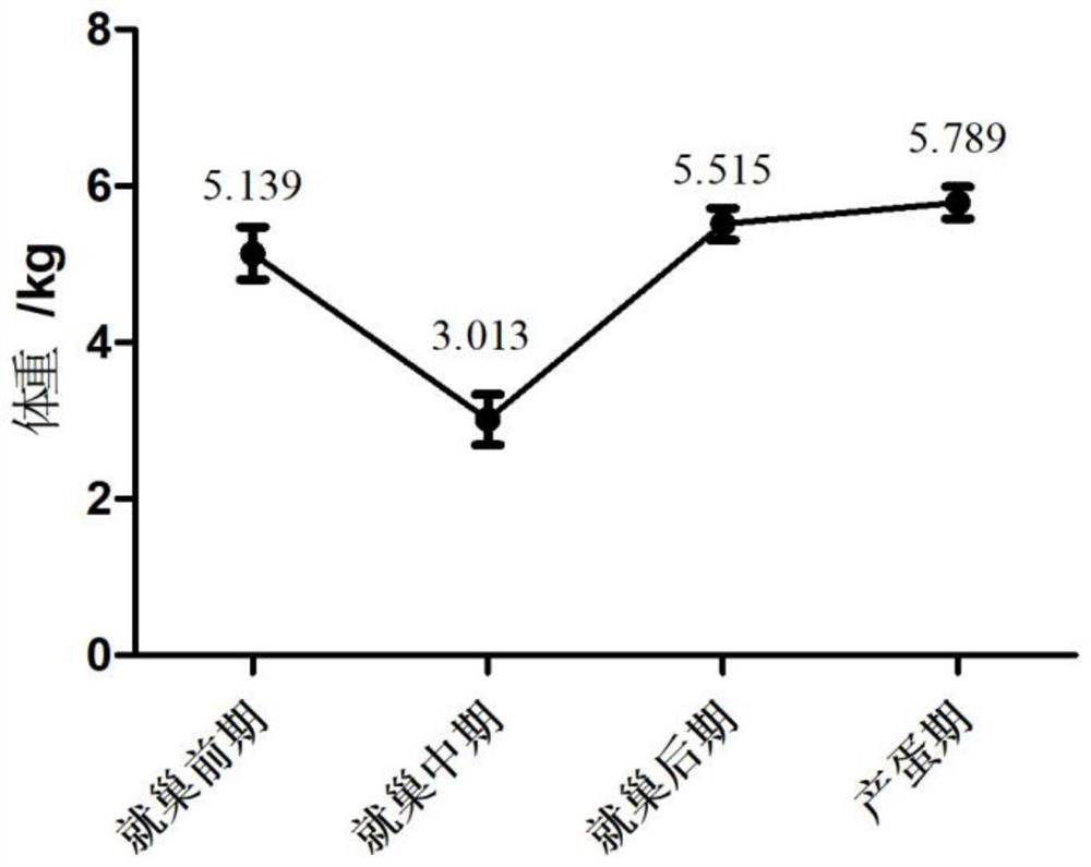 Application of boron-containing compound in regulating broodiness and reproductive performance of poultry