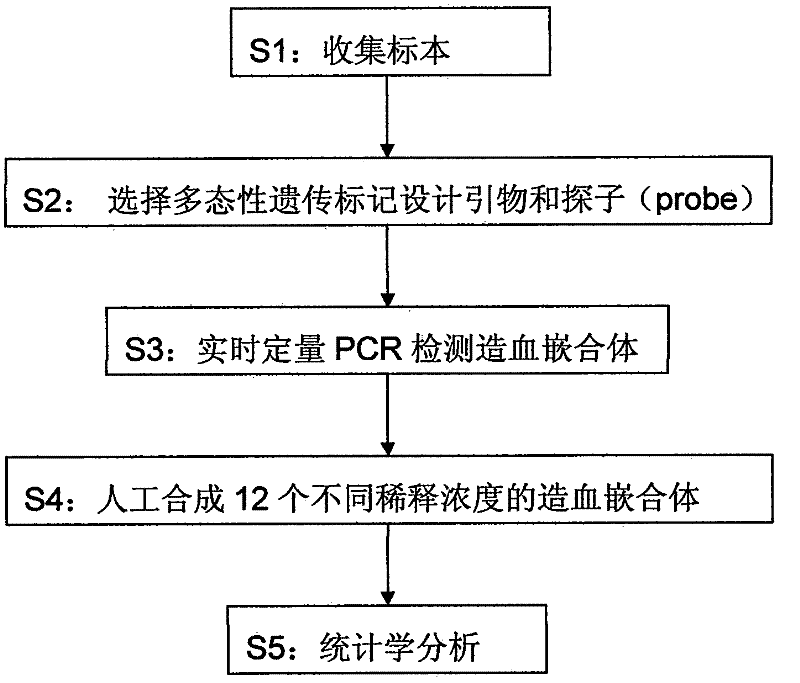 Method for synthesizing chimera in hemopoiesis chimera real-time quantitative polymerase chain reaction (PCR) detection