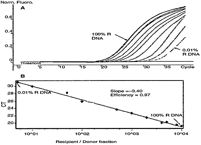 Method for synthesizing chimera in hemopoiesis chimera real-time quantitative polymerase chain reaction (PCR) detection