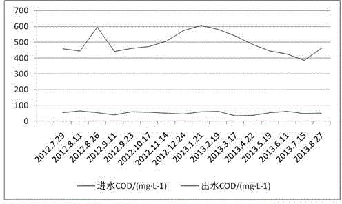 Aerobic salt-resistant granular sludge cultivation method