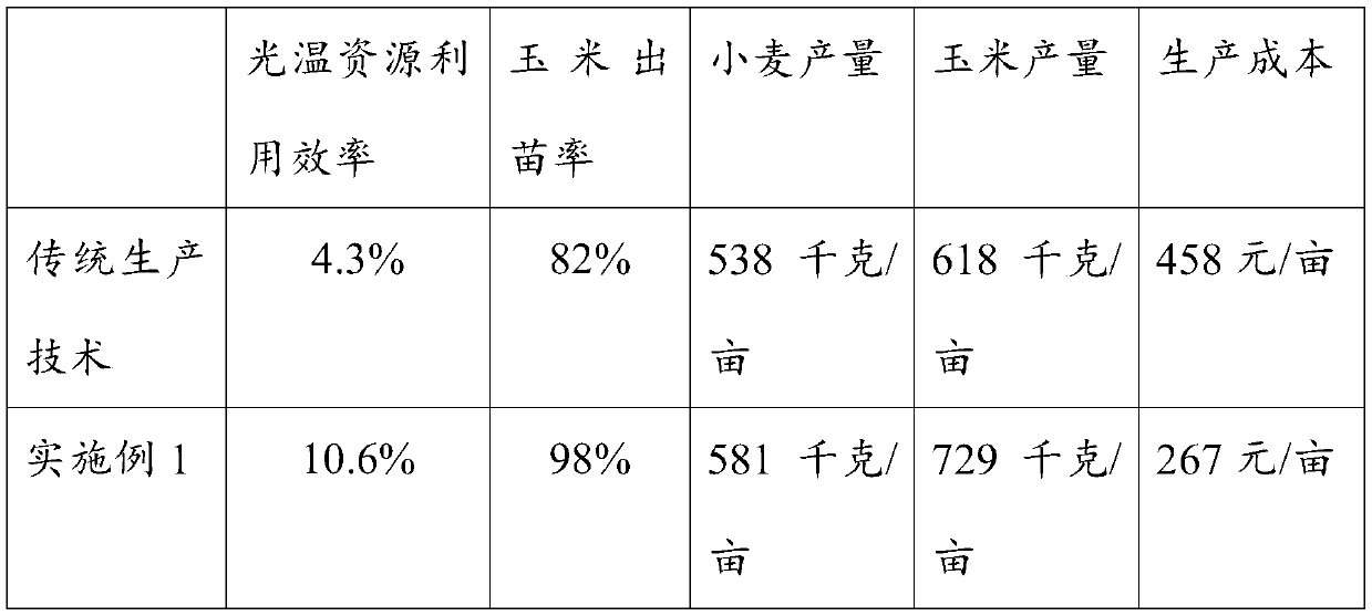 Simple Huang-Huai-Hai wheat-corn zero-crop-rotation cultivation method