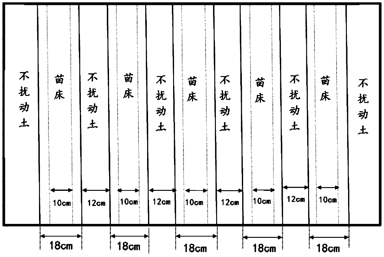 Simple Huang-Huai-Hai wheat-corn zero-crop-rotation cultivation method