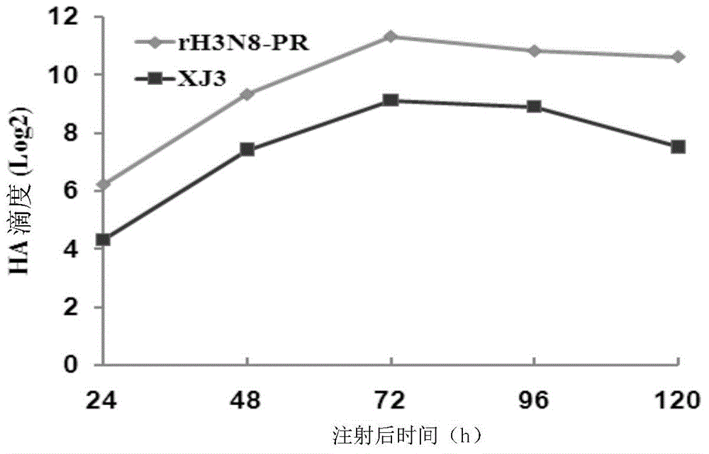 Recombinant equine influenza virus strain, preparation method thereof and vaccine prepared from recombinant equine influenza virus strain