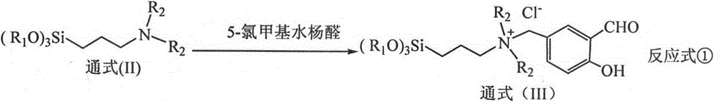 Silica gel extraction agent containing quaternary ammonium positive ions and salicylaldoxime