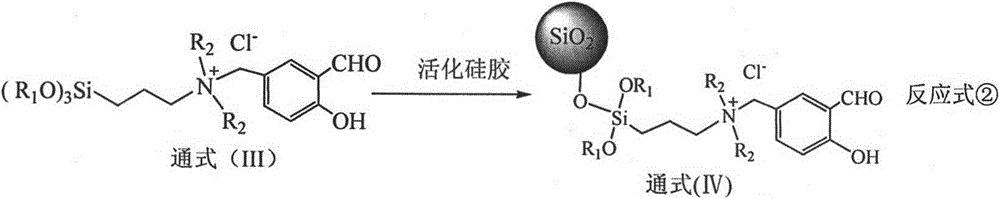 Silica gel extraction agent containing quaternary ammonium positive ions and salicylaldoxime