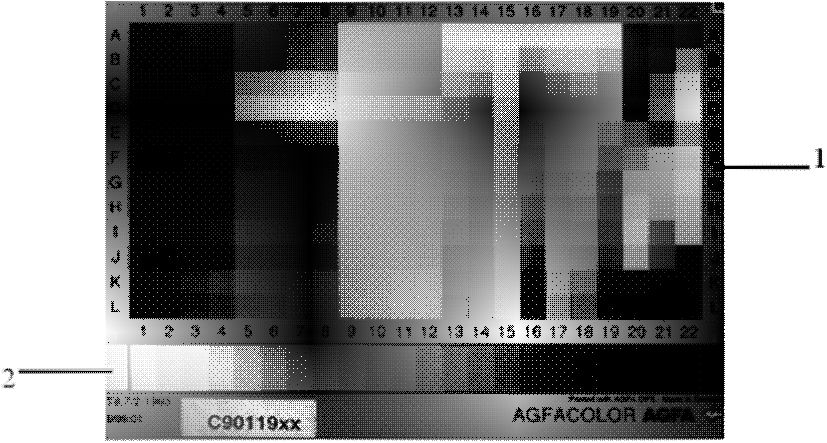 Automatic dynamic range detection method of reflection scanner