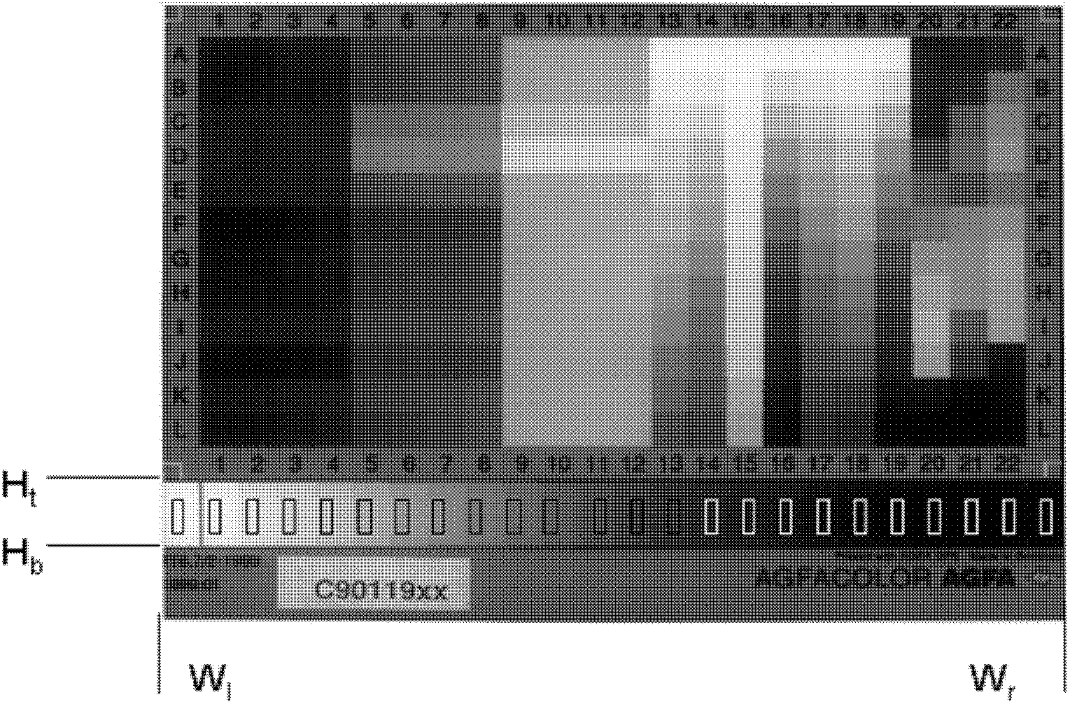 Automatic dynamic range detection method of reflection scanner