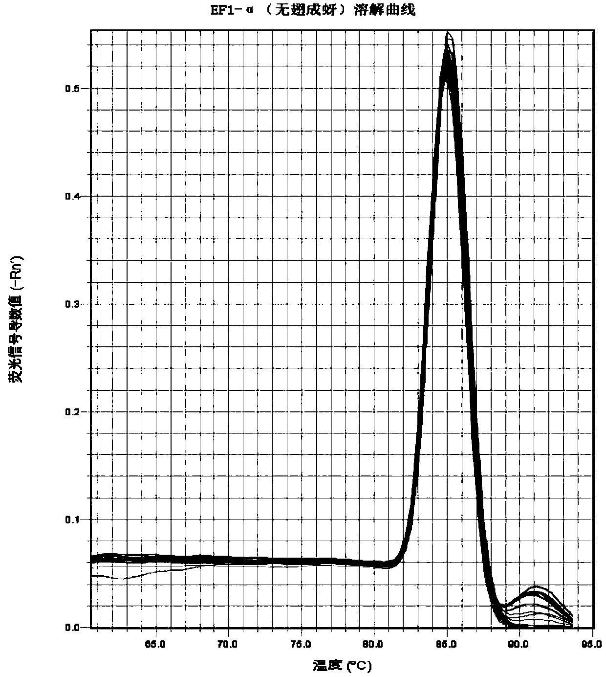 Rhopalosiphum padi Linnaeus EF1-alpha reference gene partial sequence as well as cloning method and application thereof