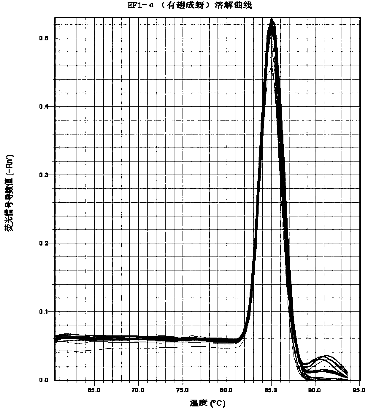 Rhopalosiphum padi Linnaeus EF1-alpha reference gene partial sequence as well as cloning method and application thereof