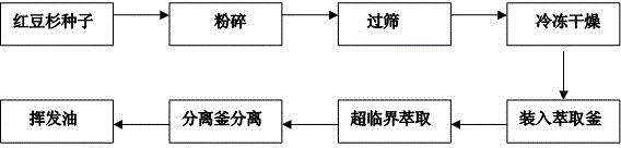 Method for supercritical fluid extraction of taxus chinensis seed volatile oil