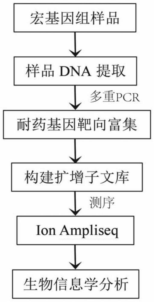 Primer group for gram-positive bacterium drug-resistant gene high-throughput amplicon sequencing and application