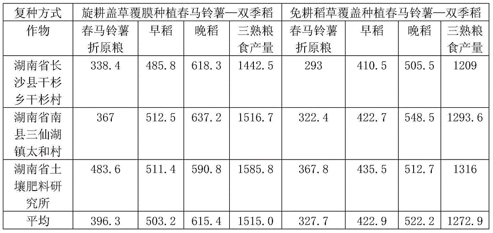 Potato-double cropping rice triple cropping and multiple cropping method