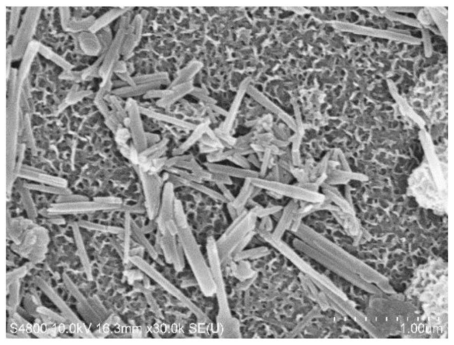 Bio-based slow/controlled-release coated nano cemented granulated fertilizer and preparation method thereof