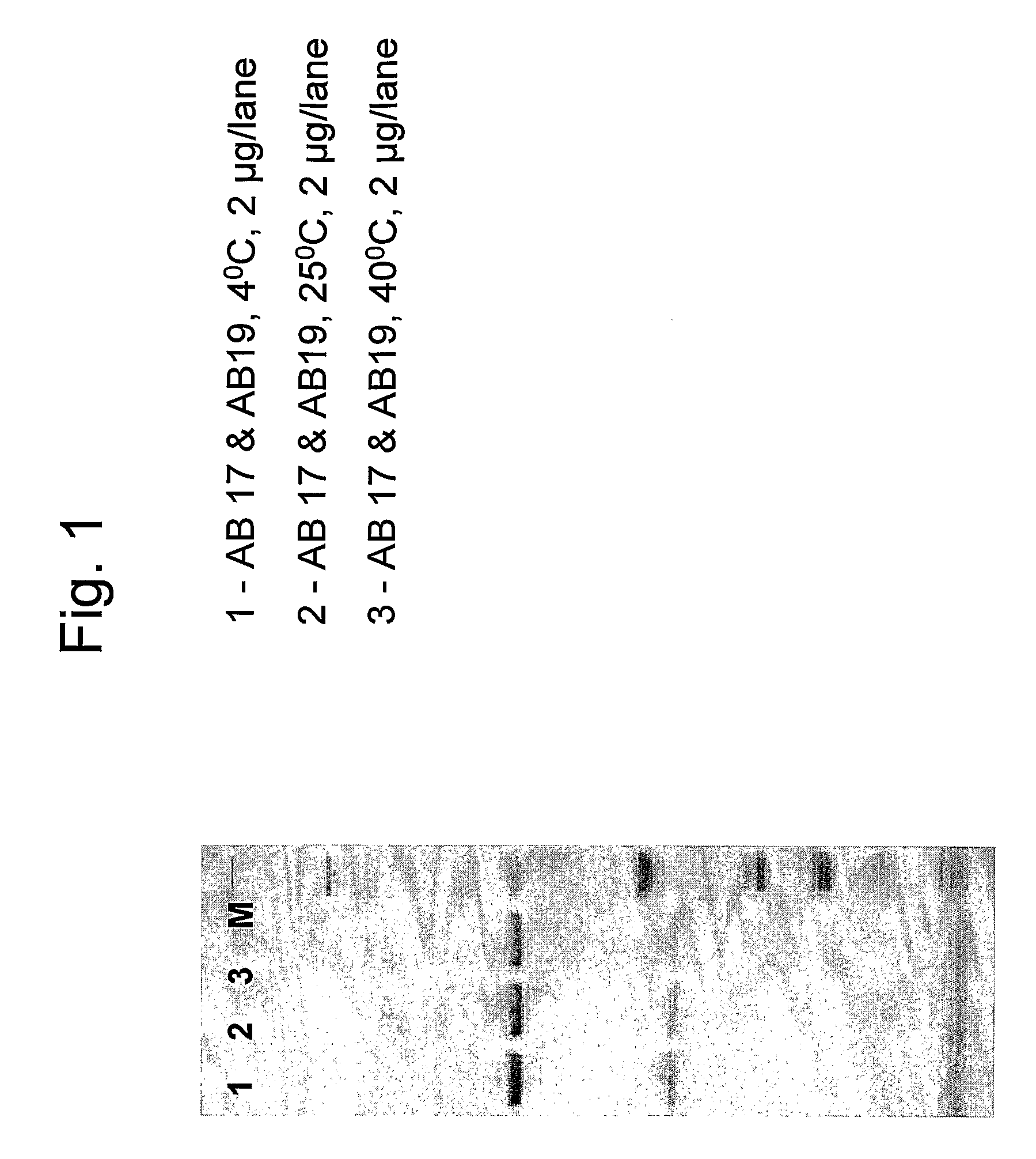 Stabilized Anti-Hepatitis B (Hbv) Antibody Formulations