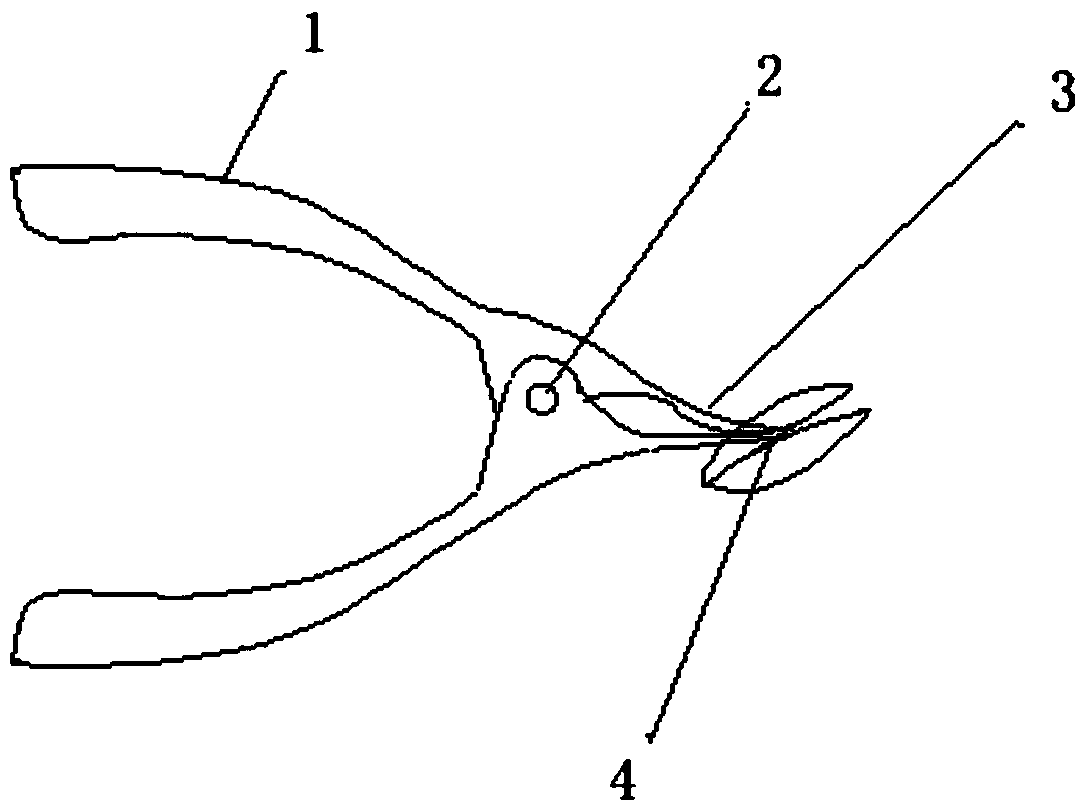 A Method for Assessing the Health of Shellfish Using a Dynamometer