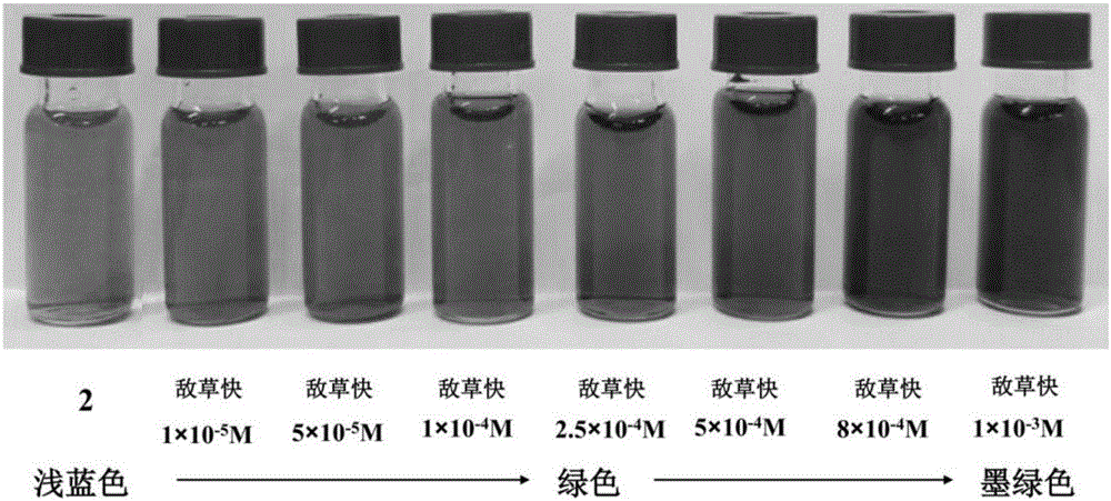 Supermolecular kit and method for quick detection of diquat