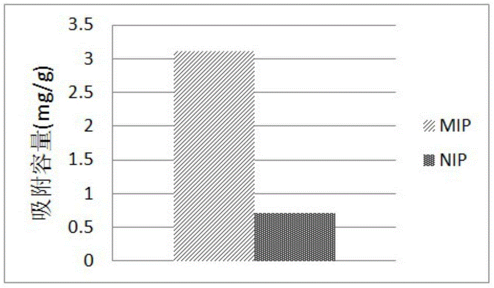 Protein antigen determinant molecularly imprinted material as well as preparation and application thereof