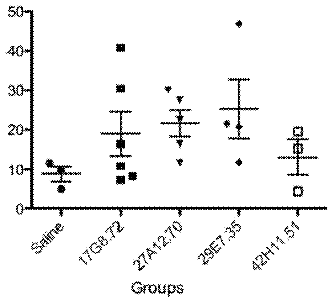 Immunoglobulin-like molecules directed against fibronectin-eda