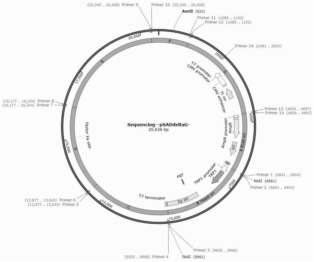 Non-homology, multi-long-fragment, high-efficiency and zero-background assembly method