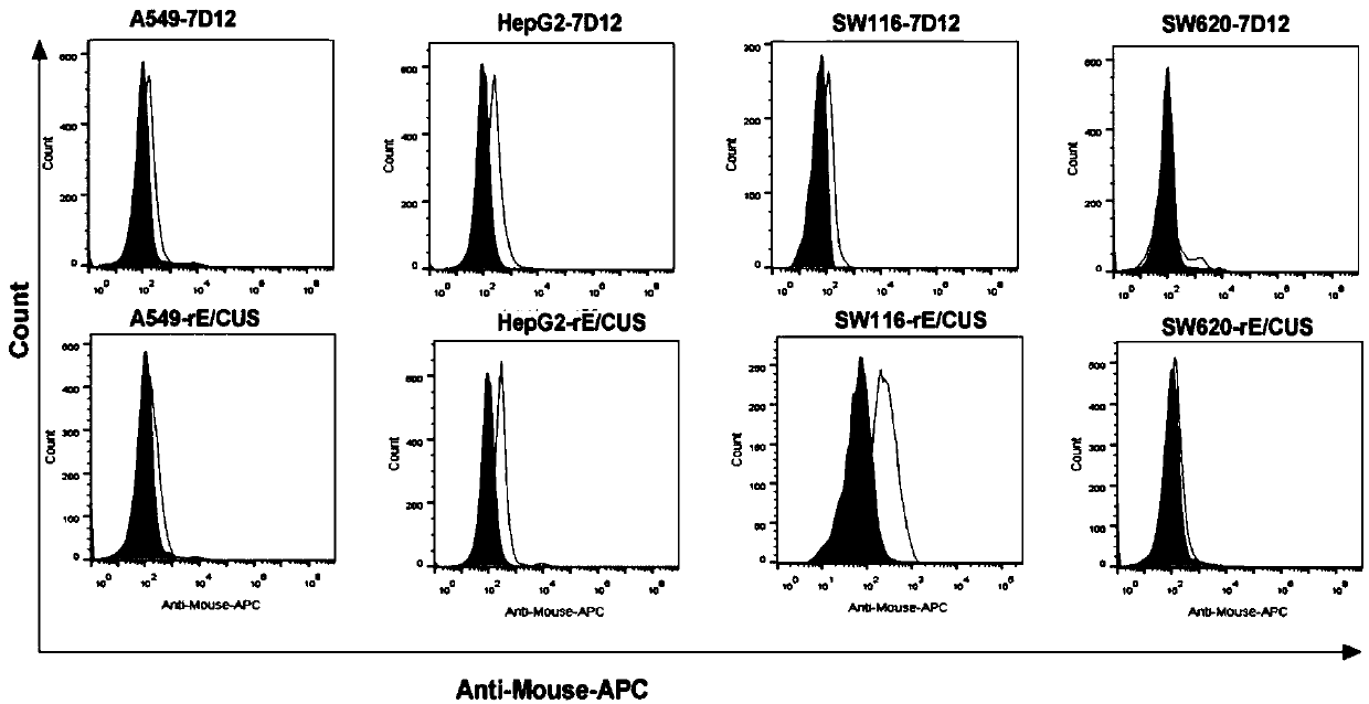 Recombinant immunotoxin and preparation method and application thereof