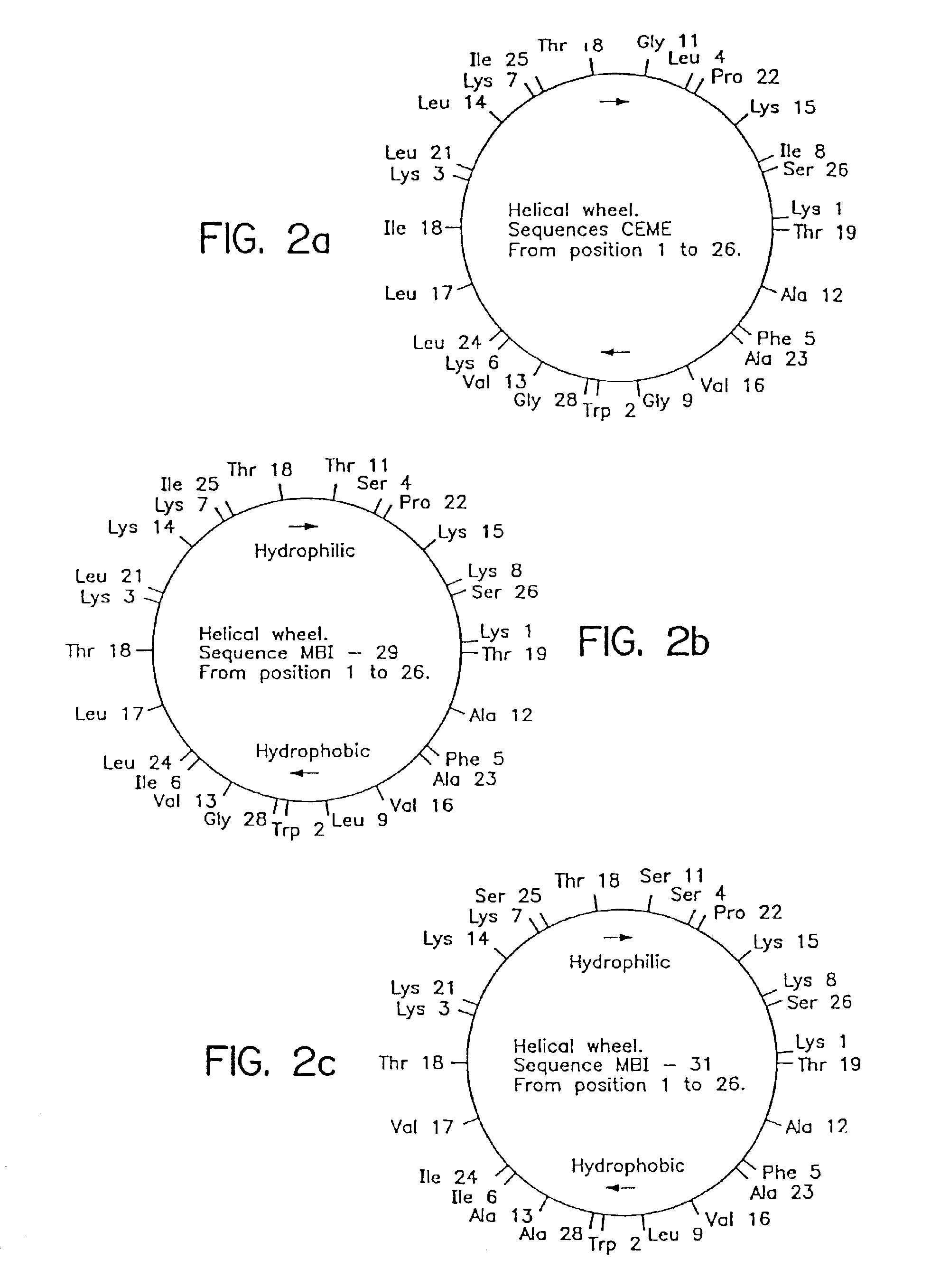 Antimicrobial cationic peptides