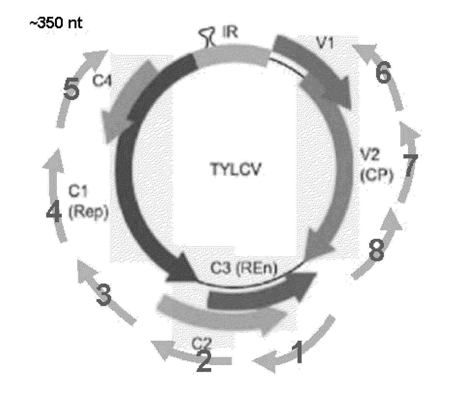 Multiple Virus Resistance in Plants