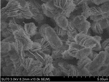 Preparation method for manganese phosphate lithium nanosheet