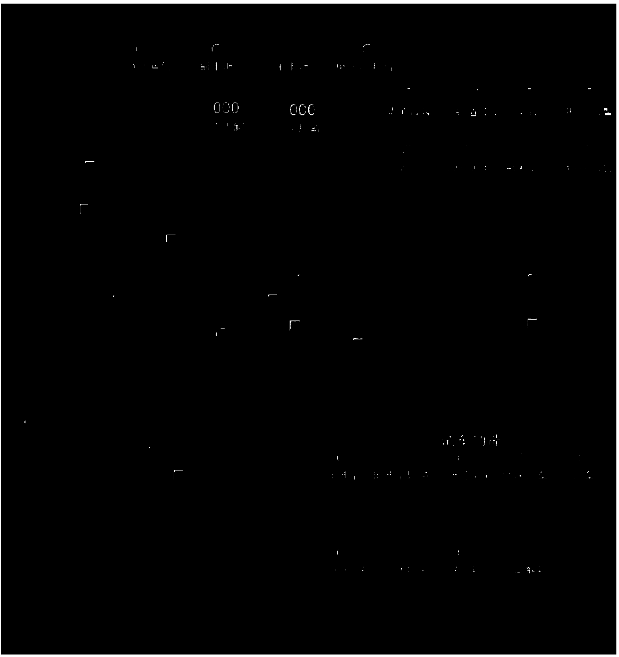 Trackside simulation method and system