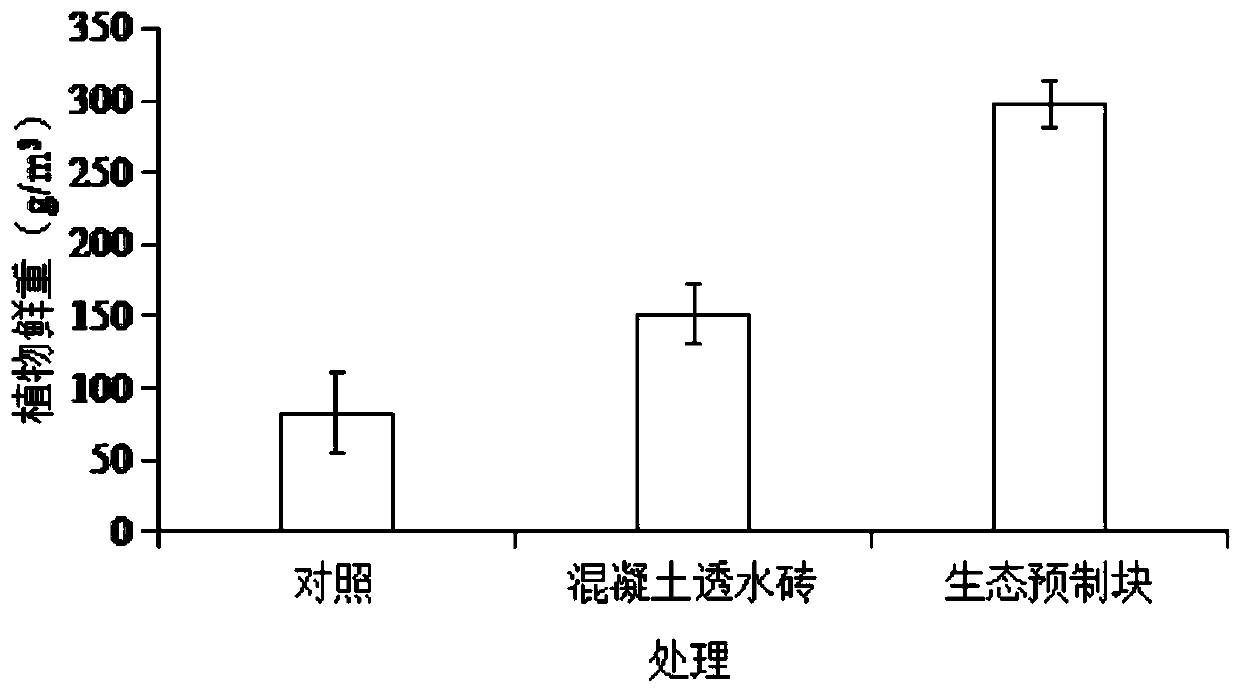 Ecological slope protection precast blocks and preparation method and application thereof