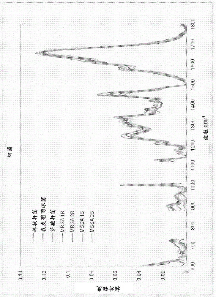 Hand-held micro-raman based detection instrument and method of detection