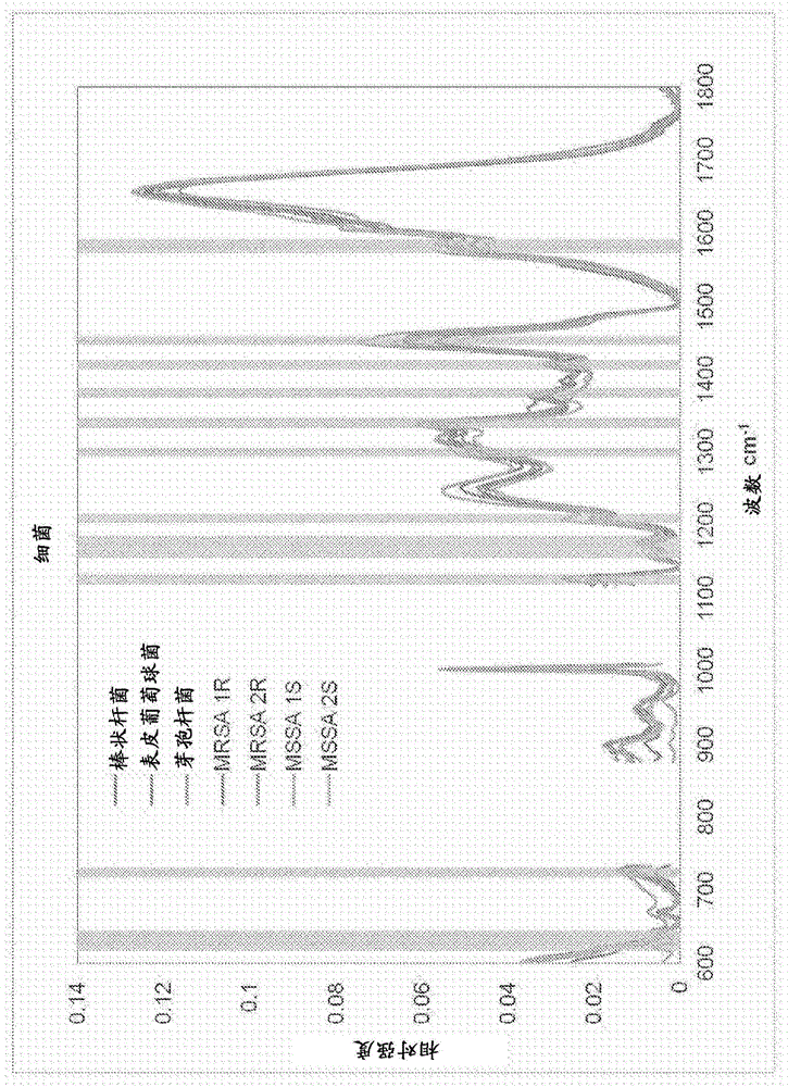 Hand-held micro-raman based detection instrument and method of detection