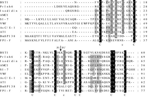 Protease inhibitor BmSPI38 and preparation method and application thereof