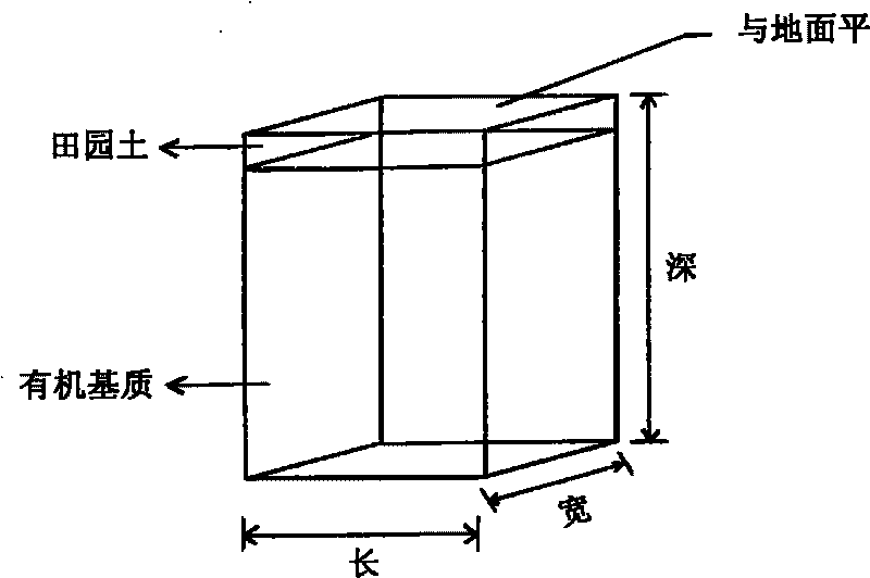 Fertilizer applying method for improving tea garden soil aqueous vapor fertilizer environment