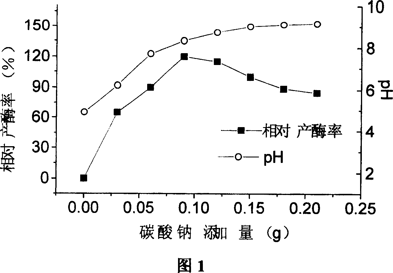 Alkalophilic bacterium and production for solid state fermentation of alkali pectase from alkalophilic bacterium