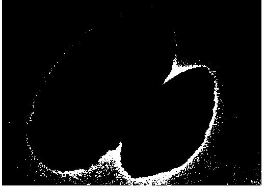 Lithium manganese phosphate nano-ellipsoids and preparation method thereof