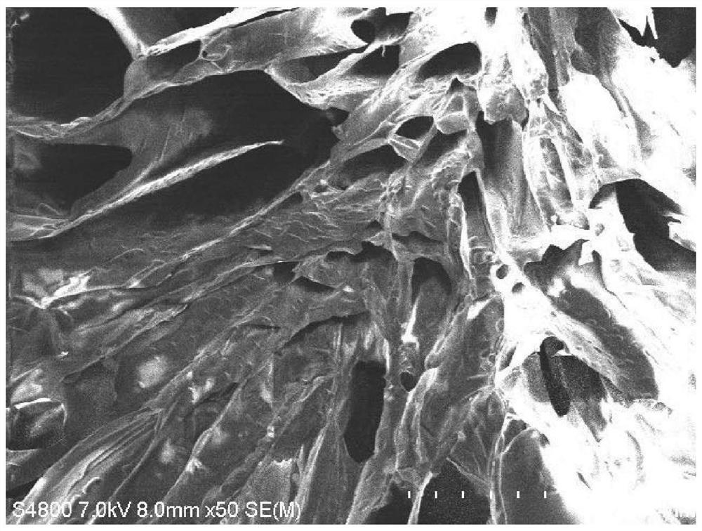 Preparation and application method of double network hydrogel for tumor microsphere invasion detection