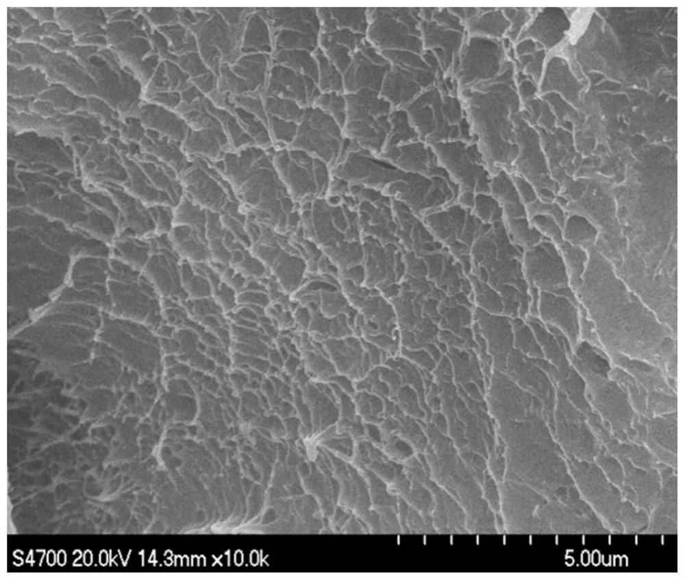 Polarized isobutylene-based polymer and its preparation method