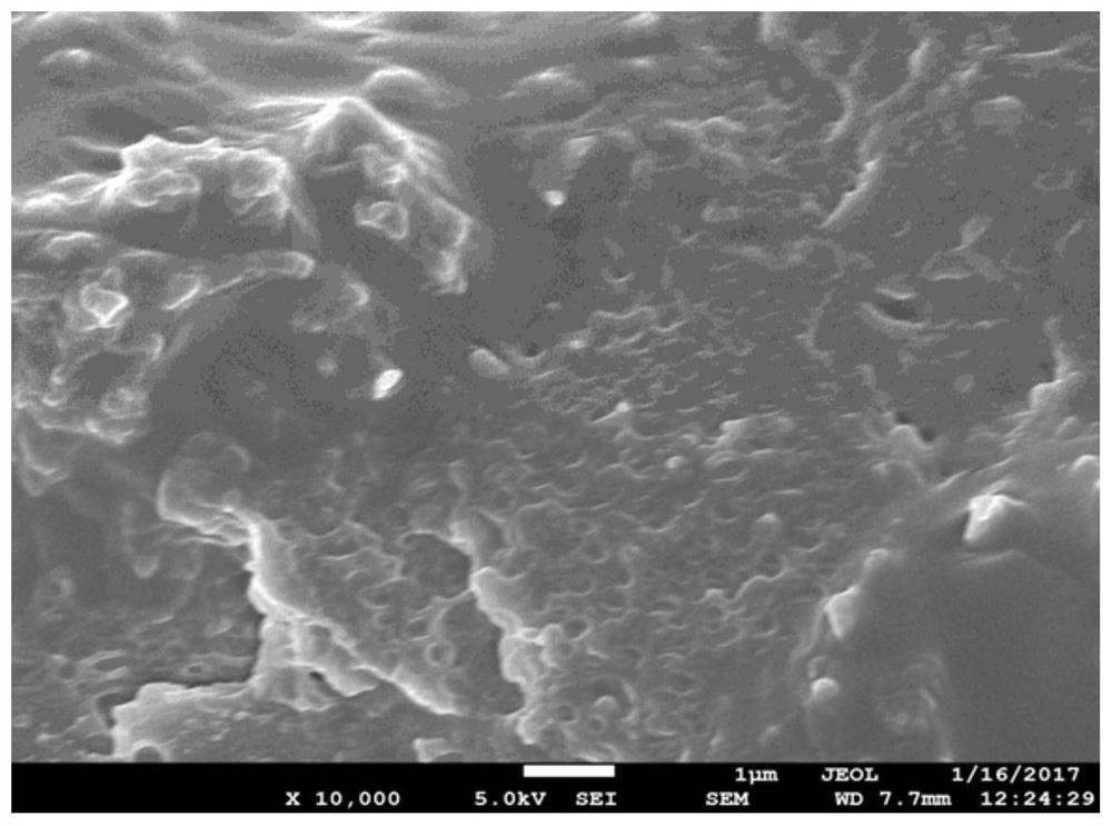 Polarized isobutylene-based polymer and its preparation method