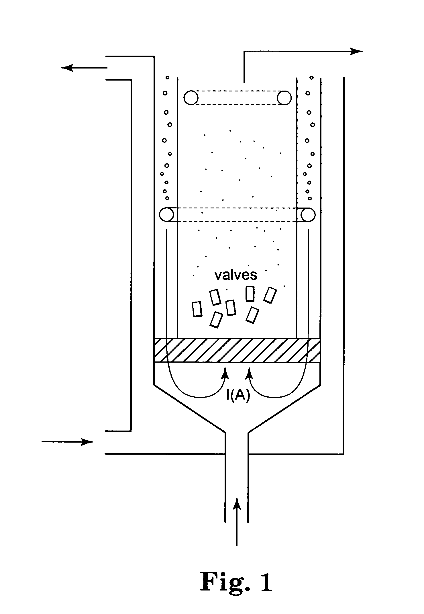 Process for biological tissue