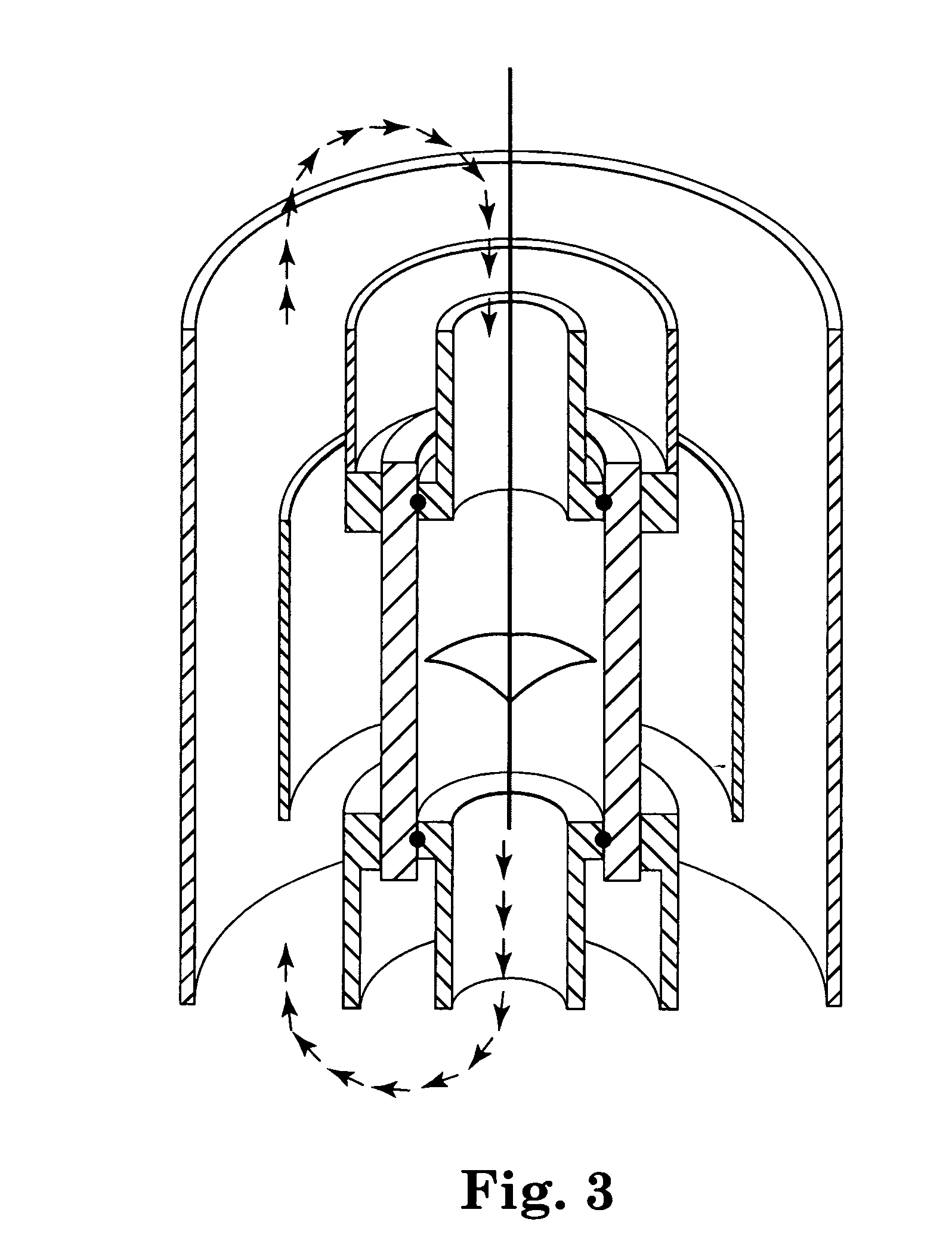 Process for biological tissue