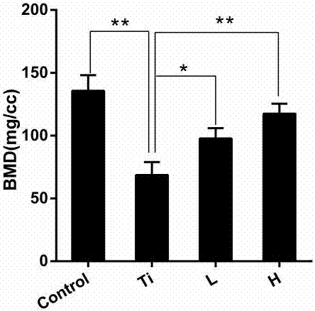 Medicinal application of okadaic acid in treating periprosthetical osteolysis