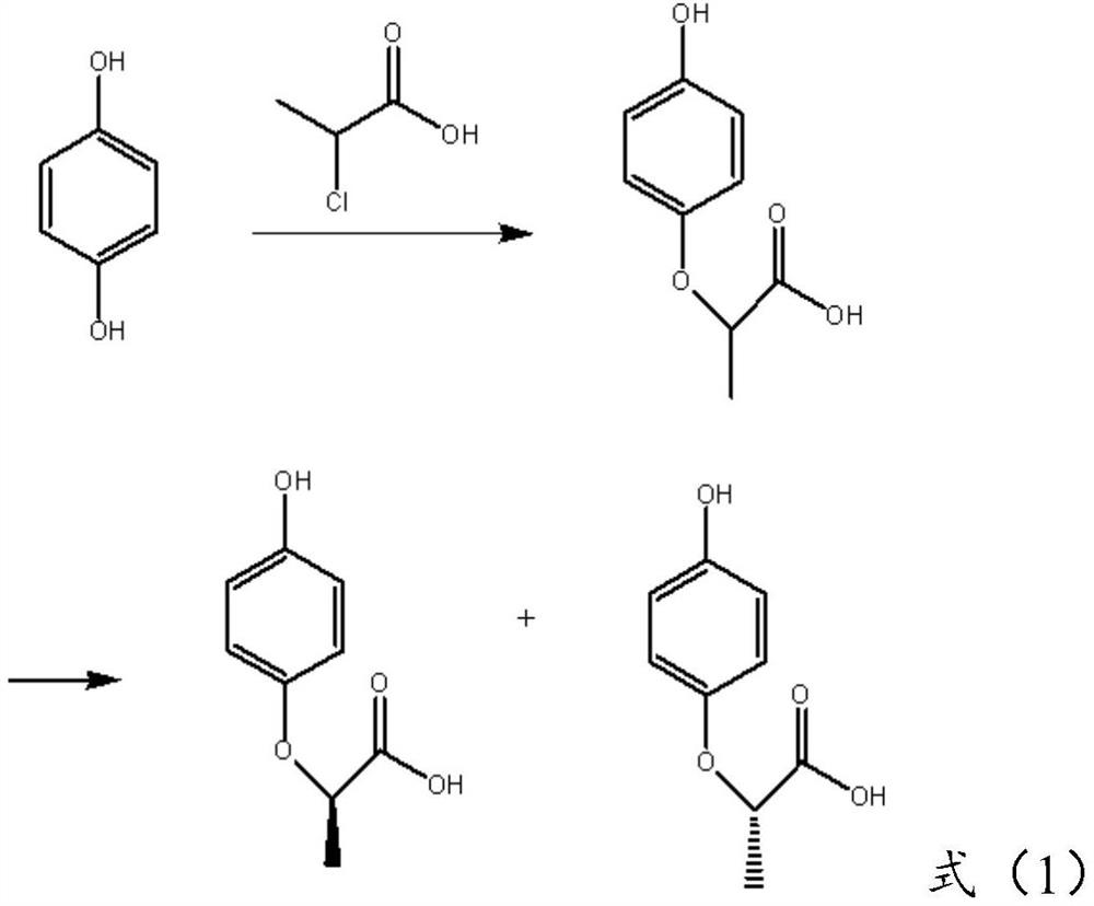 Preparation method of (R)-(+)-2-(4-hydroxyphenoxy) propionic acid