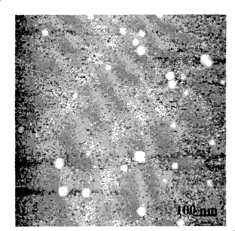 Fluorescent nano-particle with composite silica shell structure and preparation thereof