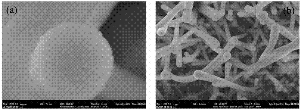 Three-dimensional flower-sheet-shaped sulfur-indium-zinc micro-nanowire array as well as preparation method and application thereof