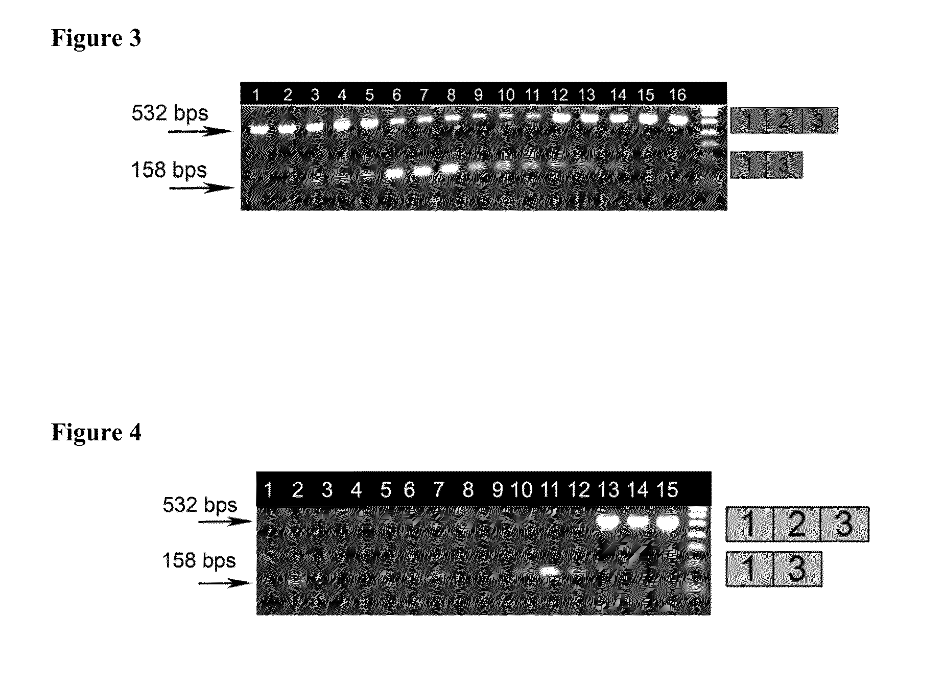 Oligomers