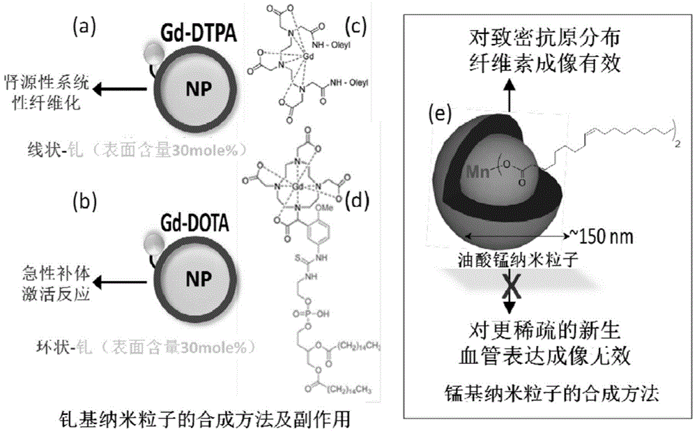 Integrin-targeted manganese-gadolinium hybrid bimetallic paramagnetic nanocolloids and their application in magnetic resonance imaging of neovascularization