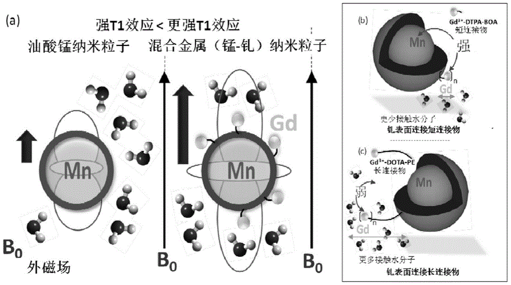 Integrin-targeted manganese-gadolinium hybrid bimetallic paramagnetic nanocolloids and their application in magnetic resonance imaging of neovascularization