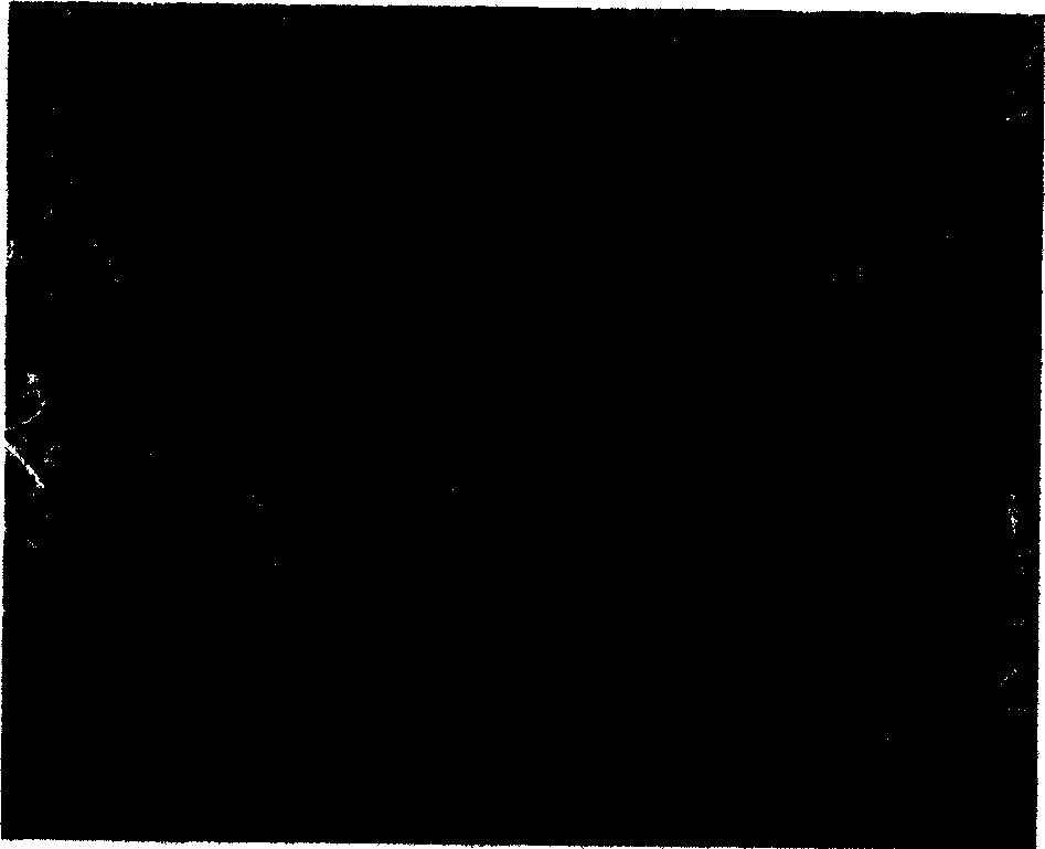 Method for preparing block of nano aluminum alloy in ultrahigh strength